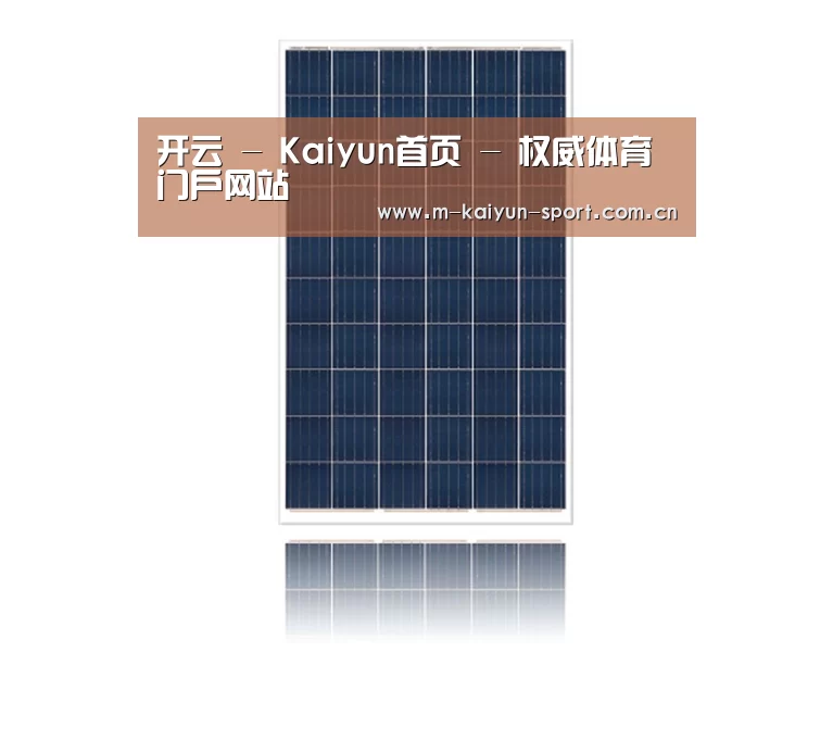 产品名称一