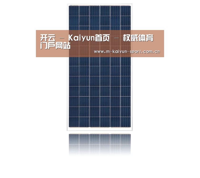 产品名称一
