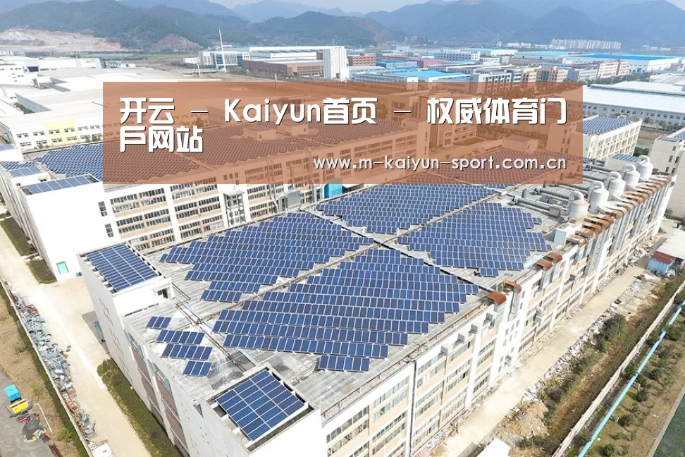 案例展示四