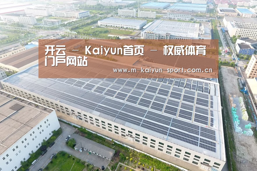案例展示二