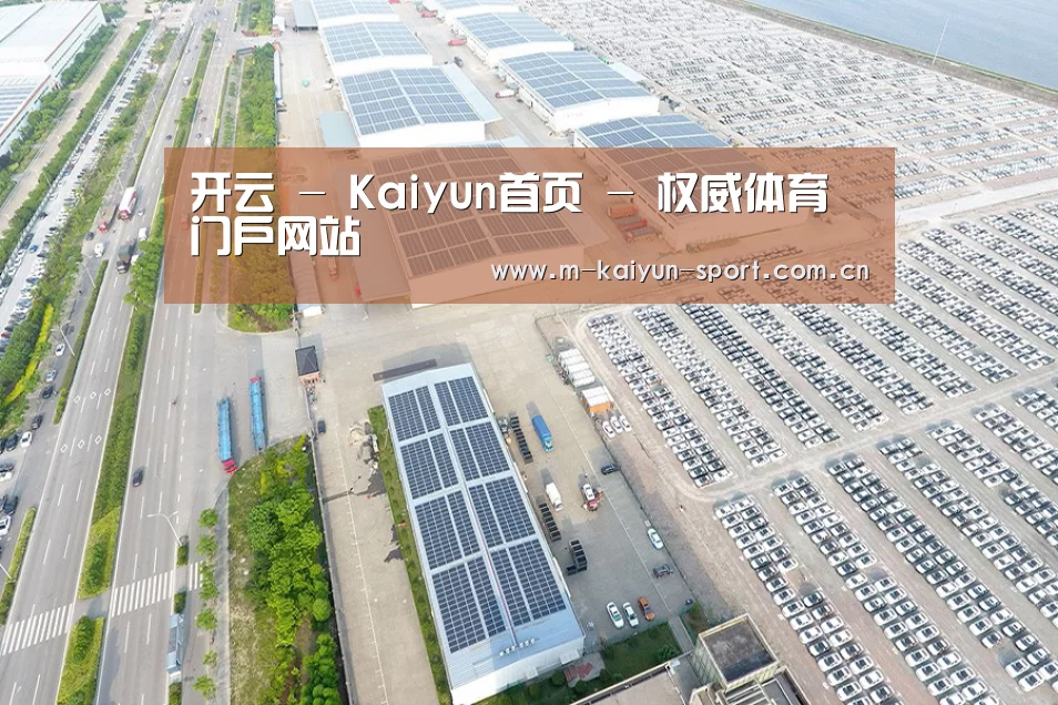 案例展示一