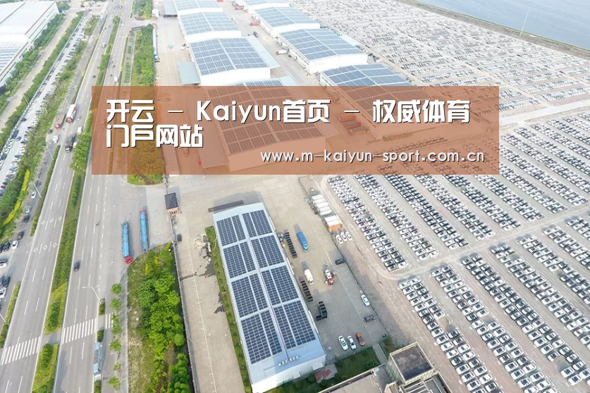 案例展示三