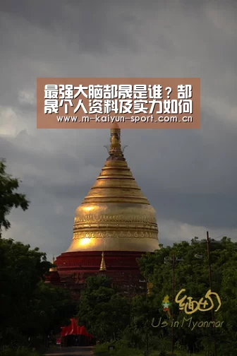 最强大脑郜晟是谁?郜晟个人资料及实力如何?|开云(图3) 开云体育下载